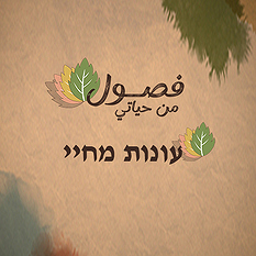 500.500 עונות