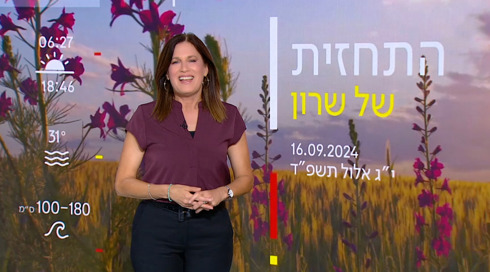 התחזית: סיכוי לגשם קל, בהמשך התחממות