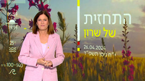 תחזית