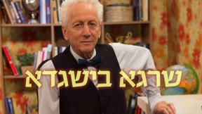 שרגא בישגדא