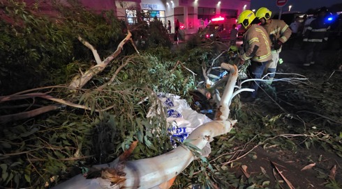 אחרי שאיבדה את בעלה בקריסת עץ: היולדת ילדה באסף הרופא