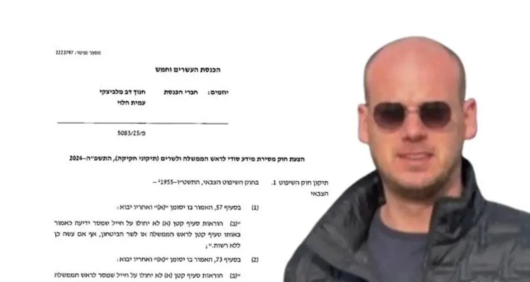 חוק פלדשטיין