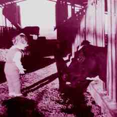 cat30920_img938523657.jpg