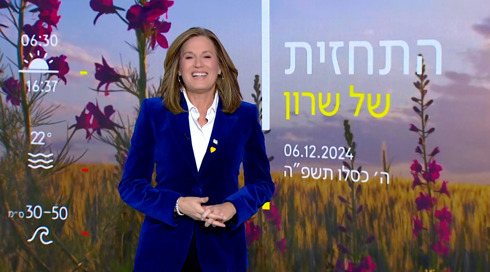 תחזית (13)