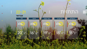 התחזית