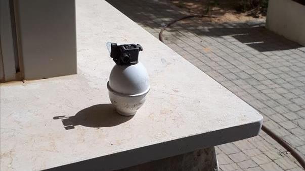 רימון תלמיד כיתה ה