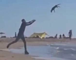 תיעוד התעללות בכלב