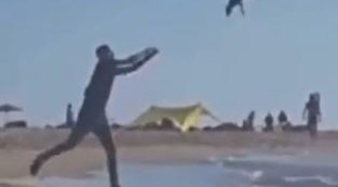 זוועה בים: נעצר חשוד בהתעללות בכלבים