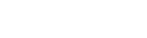 שלושה צלמים בביצה
