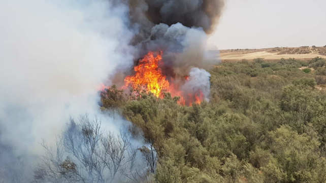 השריפה בנחל רעים