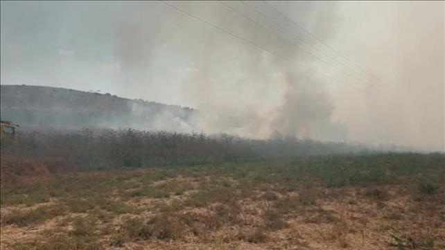 שריפה סמוך לקיבוץ נחשון, 18.08.2019