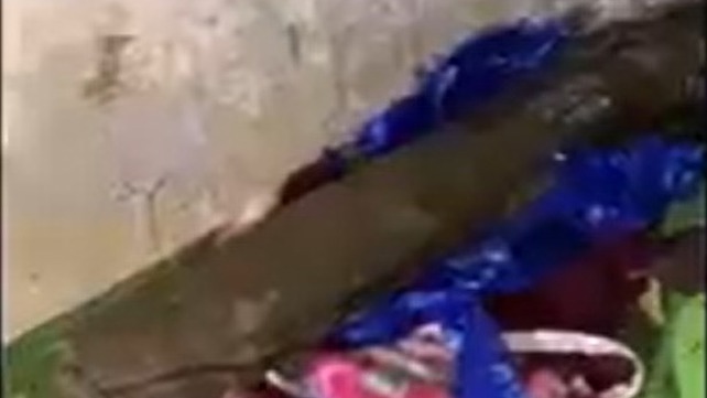 טיל לאו בגן ילדים בלוד
