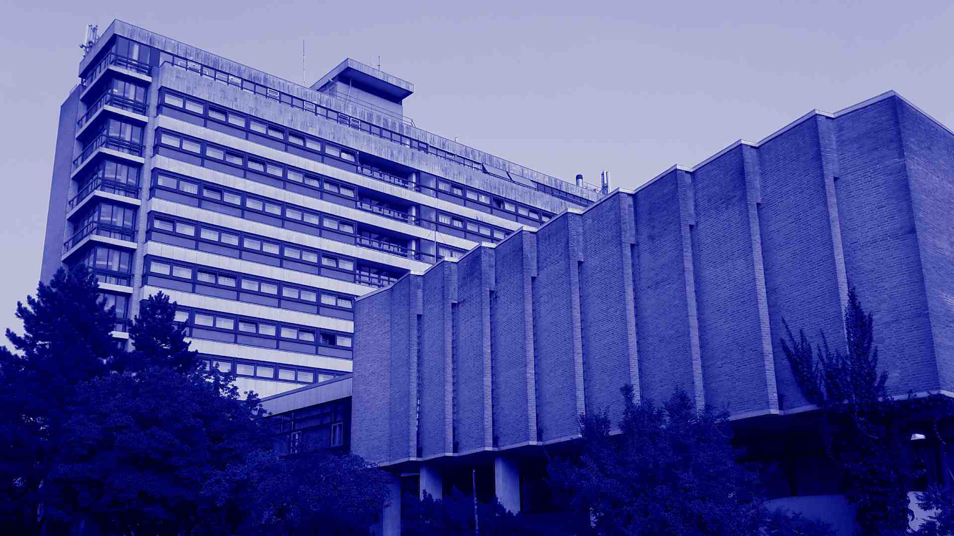  פרק 270: מאבק על הבית 