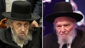 הרב משה הלל הירש והרב דוב לנדו