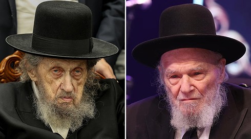 הרב משה הלל הירש והרב דוב לנדו