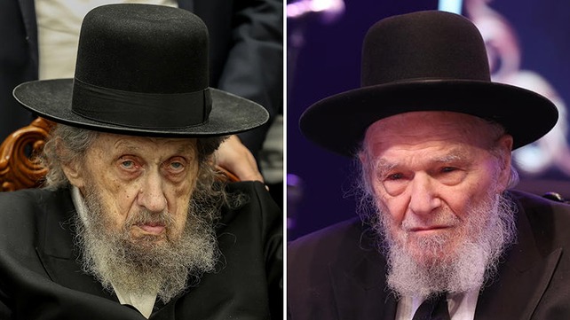 הרב משה הלל הירש והרב דוב לנדו