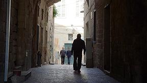 והארץ היתה תוהו ובוהו | פרק 15