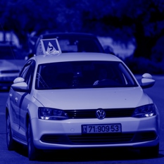 חיות כיס שיעורי נהיגה 180924