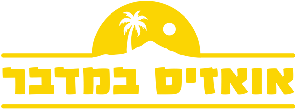 אואזיס במדבר