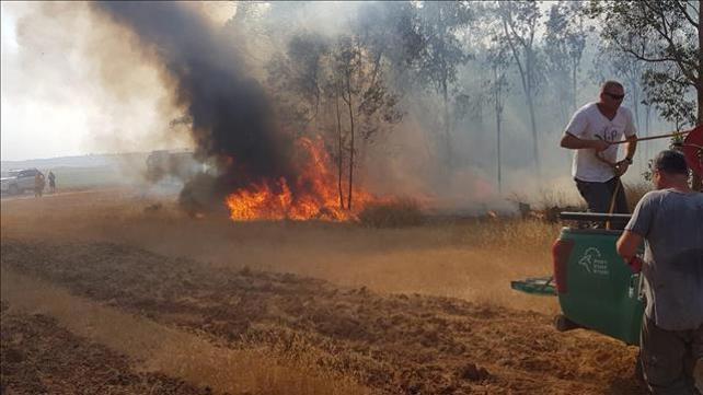 שריפה מבלון תבערה בעוטף עזה, יוני 2019