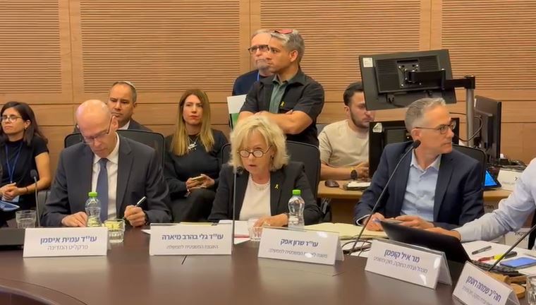 גלי בהרב מיארה בוועדת החוקה