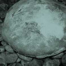 cat28113_img233506106.jpg