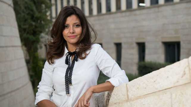 אורלי לוי-אבקסיס בכנסת, בשנה שעברה