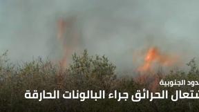 نشرة