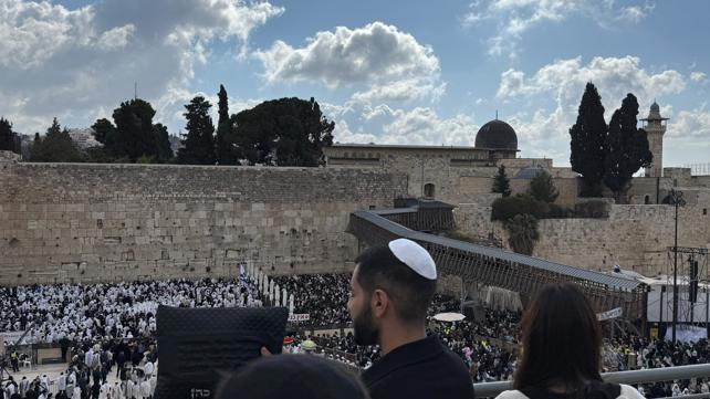 אלי-ה כהן בכותל