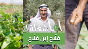  اما شغلة - فلاح ابن فلاح  