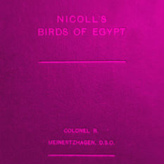 כריכת הספר 'NICOLL'S BIRDS OF EGYPT'