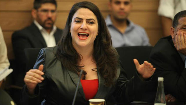 ח"כ מיכל בירן