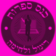 כנס ספרות