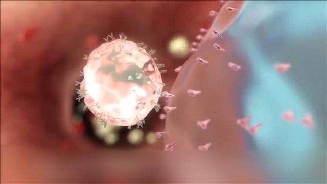 איידס, HIV, נגיף, כתבה של יואב זהבי. 16.11.21