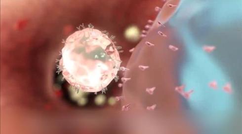 בפעם השנייה בהיסטוריה: נשאית HIV החלימה ללא התערבות רפואית