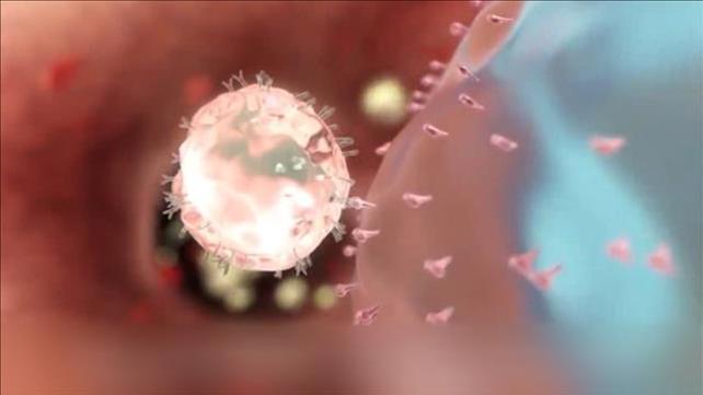 איידס, HIV, נגיף, כתבה של יואב זהבי. 16.11.21