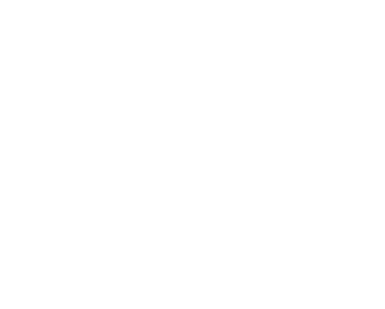 בחזרה לשום פלפל ושמן זית | כאן ארכיון