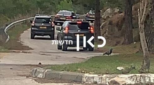 נתניהו יצא להליכה ביער ירושלים - המשטרה עיכבה את הנהגים