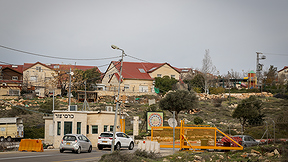 כרמי צור
