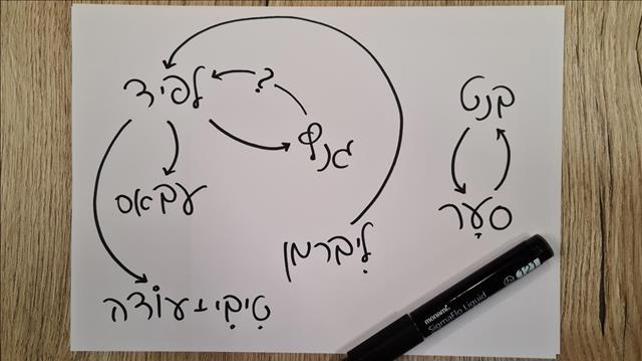 מגעים, קואליציה, ממשלה, הרכבה, לפיד, ליברמן, בנט, סער, גנץ, עודה, טיבי, עבאס