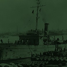 cat26513_img645203819.jpg