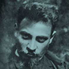 cat19400_img496491769.jpg