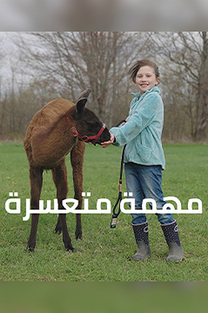 239.360 مهمة متعسرة