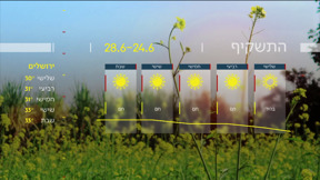 התחזית 23.06.25