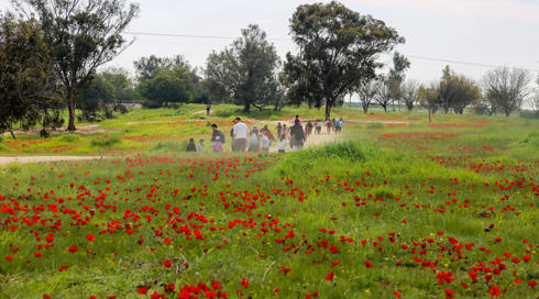 ריח של תבלינים, טעם של געגוע: המבוך של סבא אלי ממשיך לפרוח גם בימי מלחמה