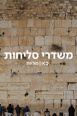 Poster Image Small 239X360 (3)