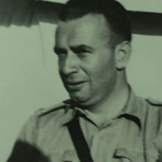 cat18748_img383289890.jpg