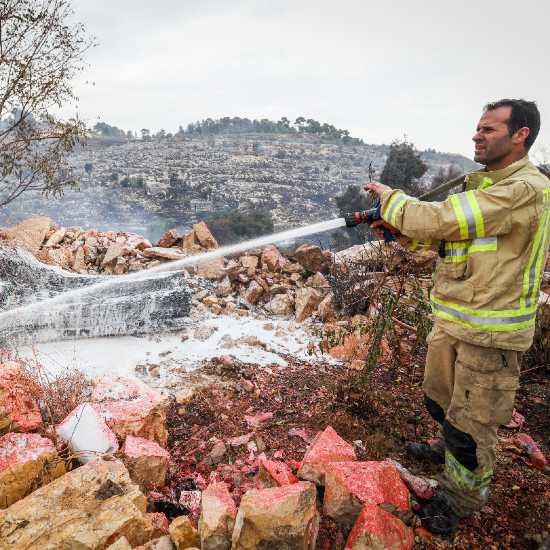 Noticias desde Israel - domingo 14 de noviembre