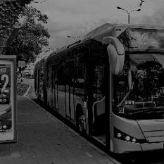 cat1081_img.jpg
