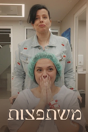 Poster Image Small 239X360 משתפצות